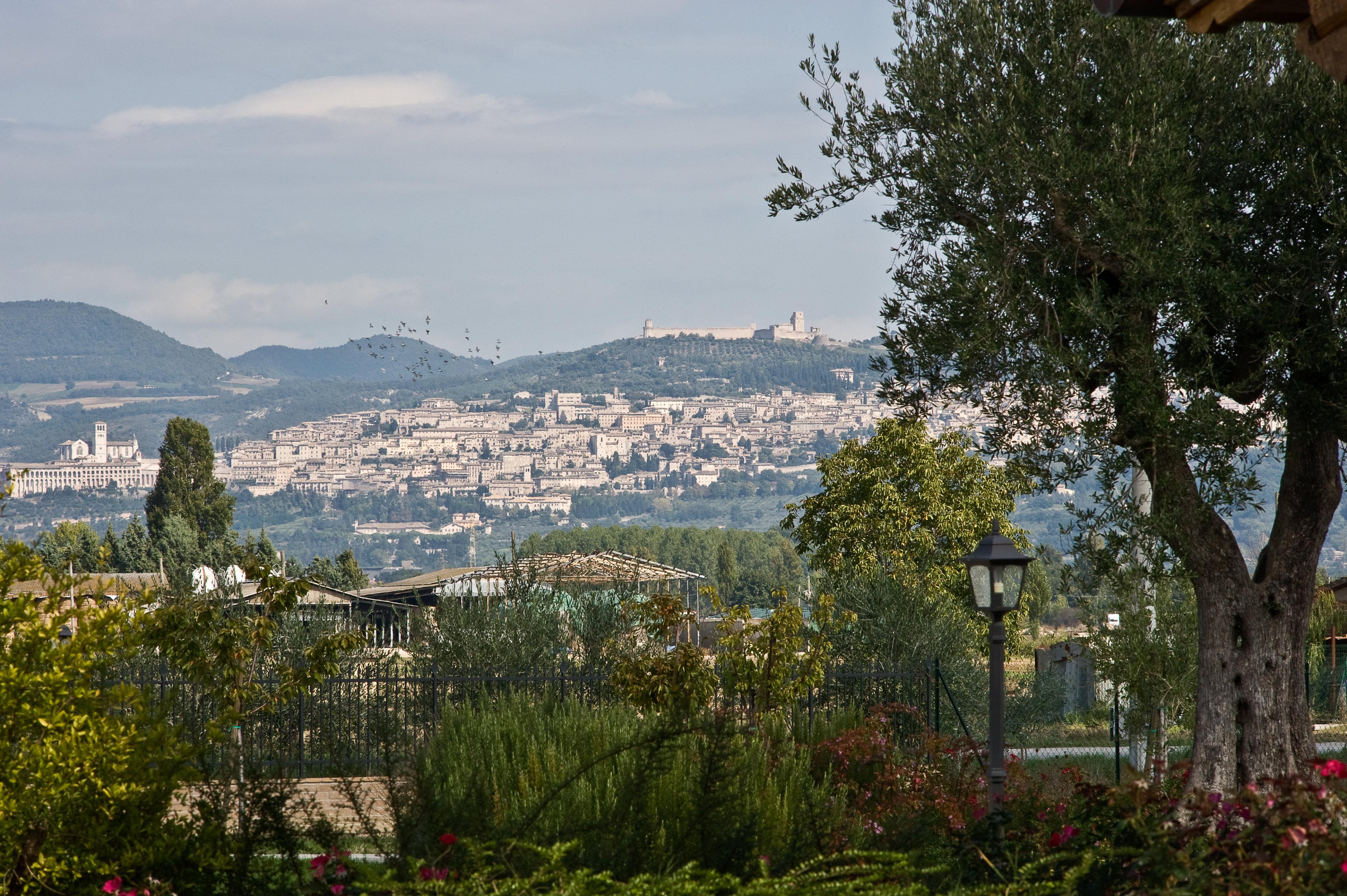 Agriturismo Le Rondini Di Francesco Di Assisi Cannara Luaran gambar