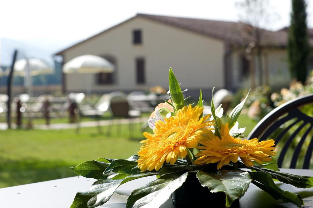 Agriturismo Le Rondini Di Francesco Di Assisi Cannara Luaran gambar