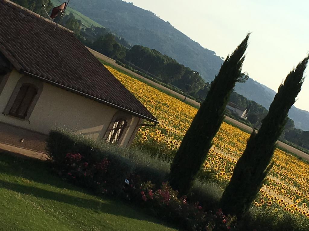 Agriturismo Le Rondini Di Francesco Di Assisi Cannara Luaran gambar